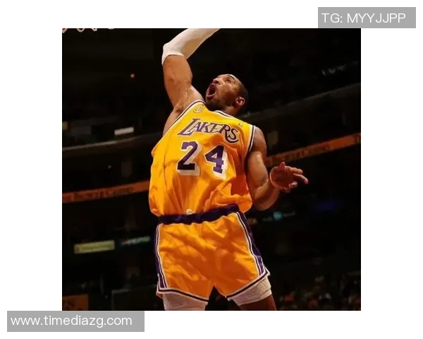 篮球明星为何如此受欢迎探讨他们的魅力与影响力因素